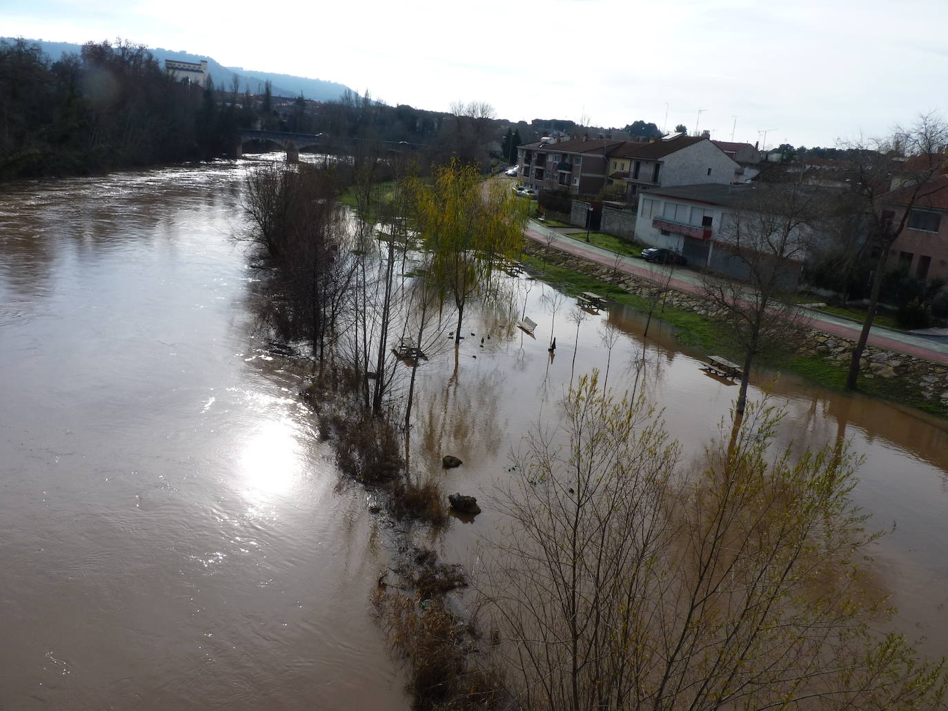 Fotos: El río Duero a la altura de Tudela el día de Navidad