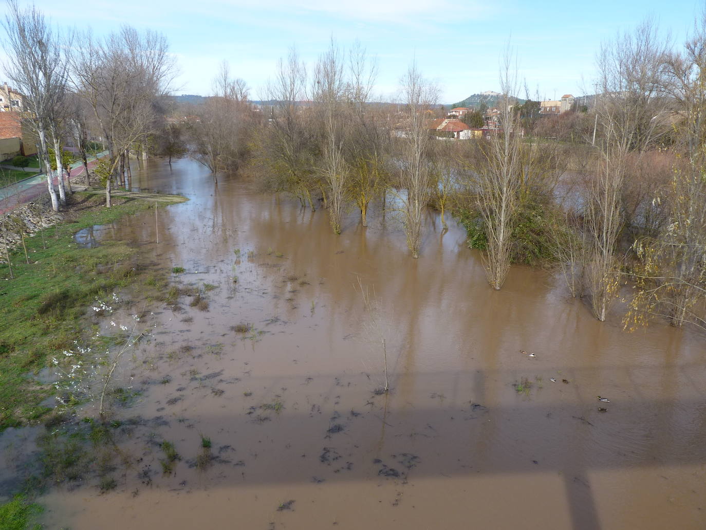 Fotos: El río Duero a la altura de Tudela el día de Navidad