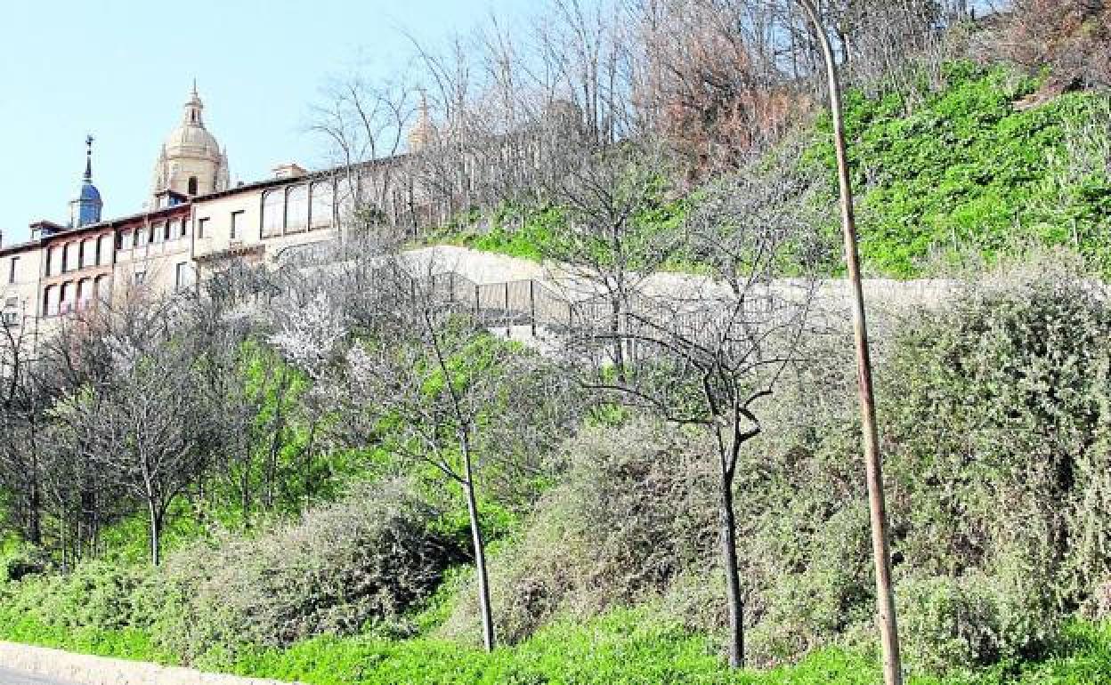 Talud en el que estaba prevista la construcción del aparcamiento subterráneo. 