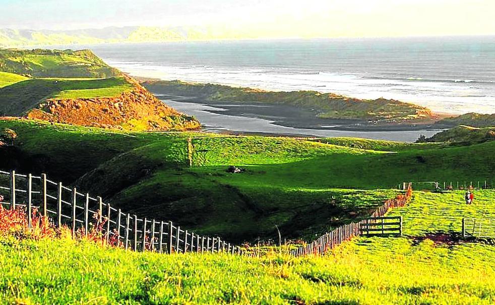 Finca de la isla Norte de Nueva Zelanda, propiedad del inversor alemán Karl Reipen. 