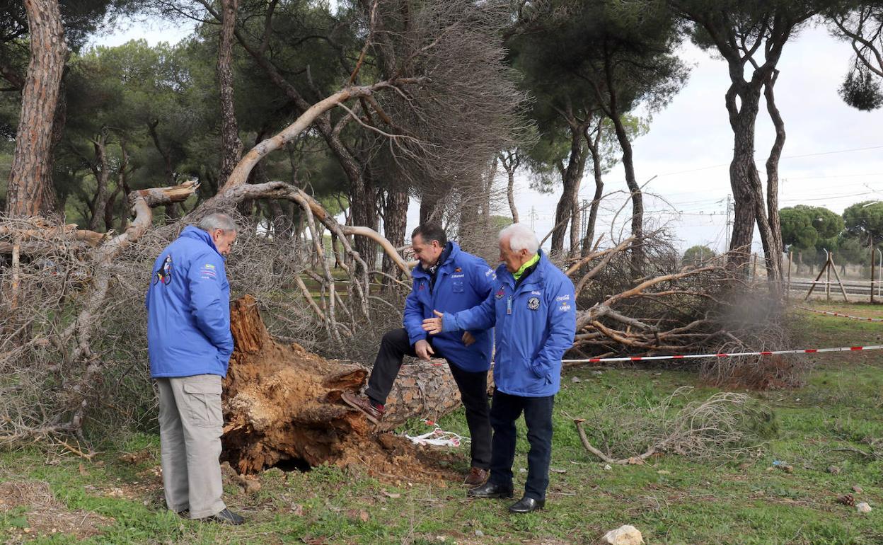 Luis García, José Manuel Navas y Emilio Simó, de Turismoto, junto a uno de los ejemplares caídos. 