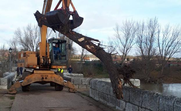 Simancas. Una máquina de la Junta retira el tronco de un árbol del puente de Simancas. 