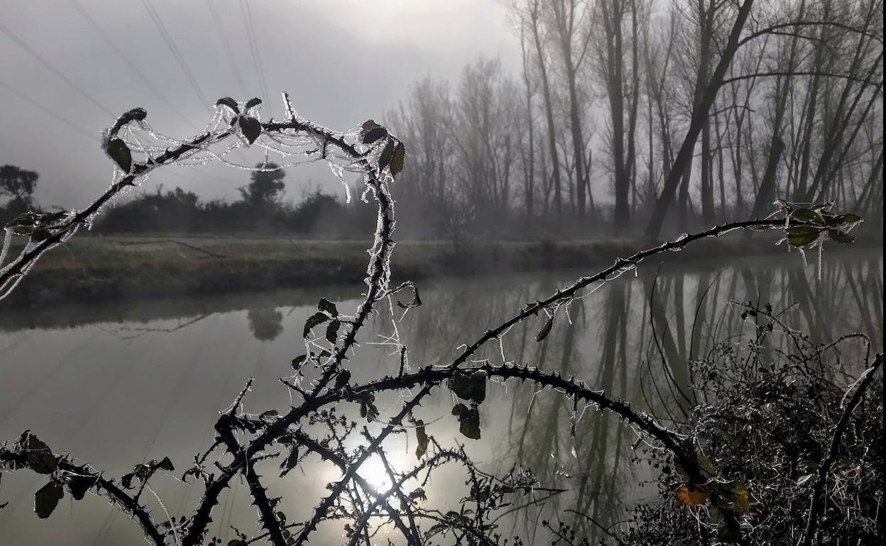 La primera cencellada del invierno en Urueña y Medina de Rioseco