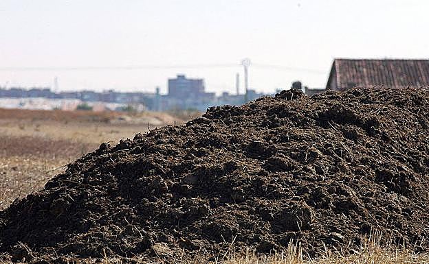 Montón de purín en la provincia de Segovia. 