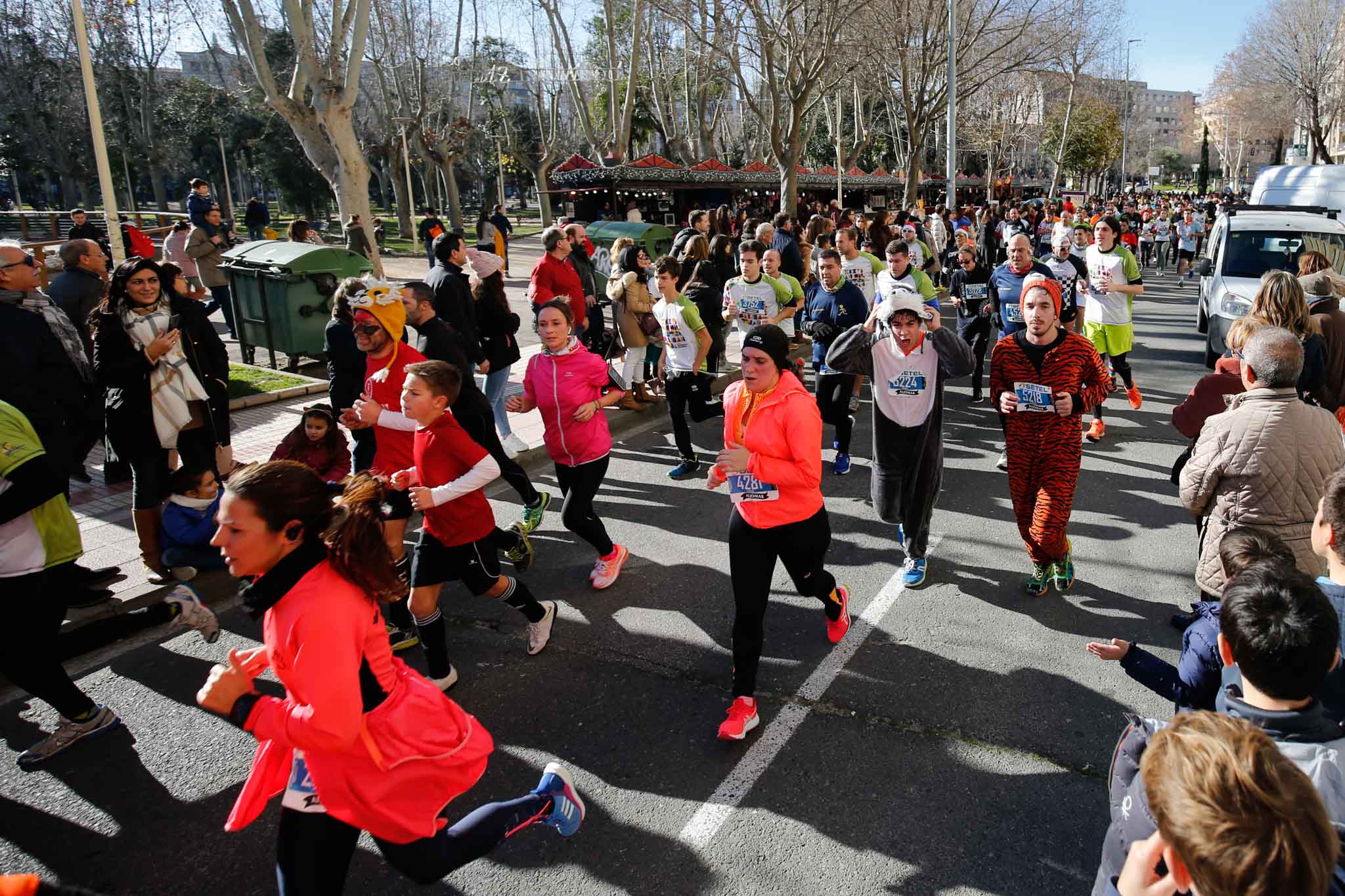 La XXXVI edición de la San Silvestre llena de color las calles de la ciudad con más de 7.700 participantes, donde los más atrevidos lucieron curiosos disfraces donde no faltaron los motivos navideños