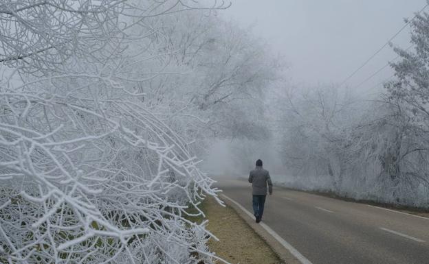 Valladolid amaneció de nuevo este martes con niebla y hielo.