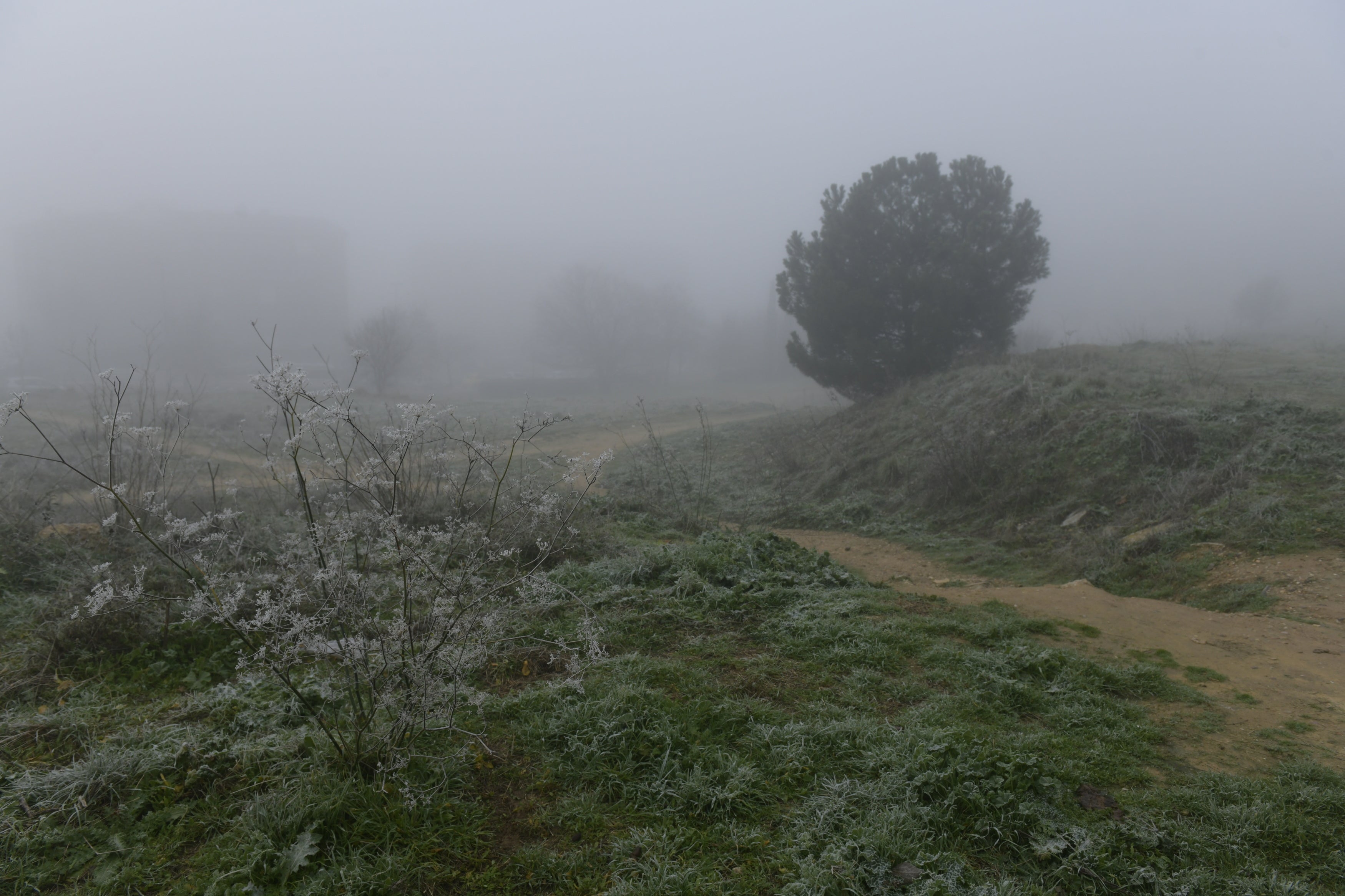 Una intensa niebla cubre toda la ciudad de Valladolid, que participa de la alerta amarilla que afecta a toda la provincia y permanecerá activa hasta las 13 horas de este lunes 30 de diciembre.