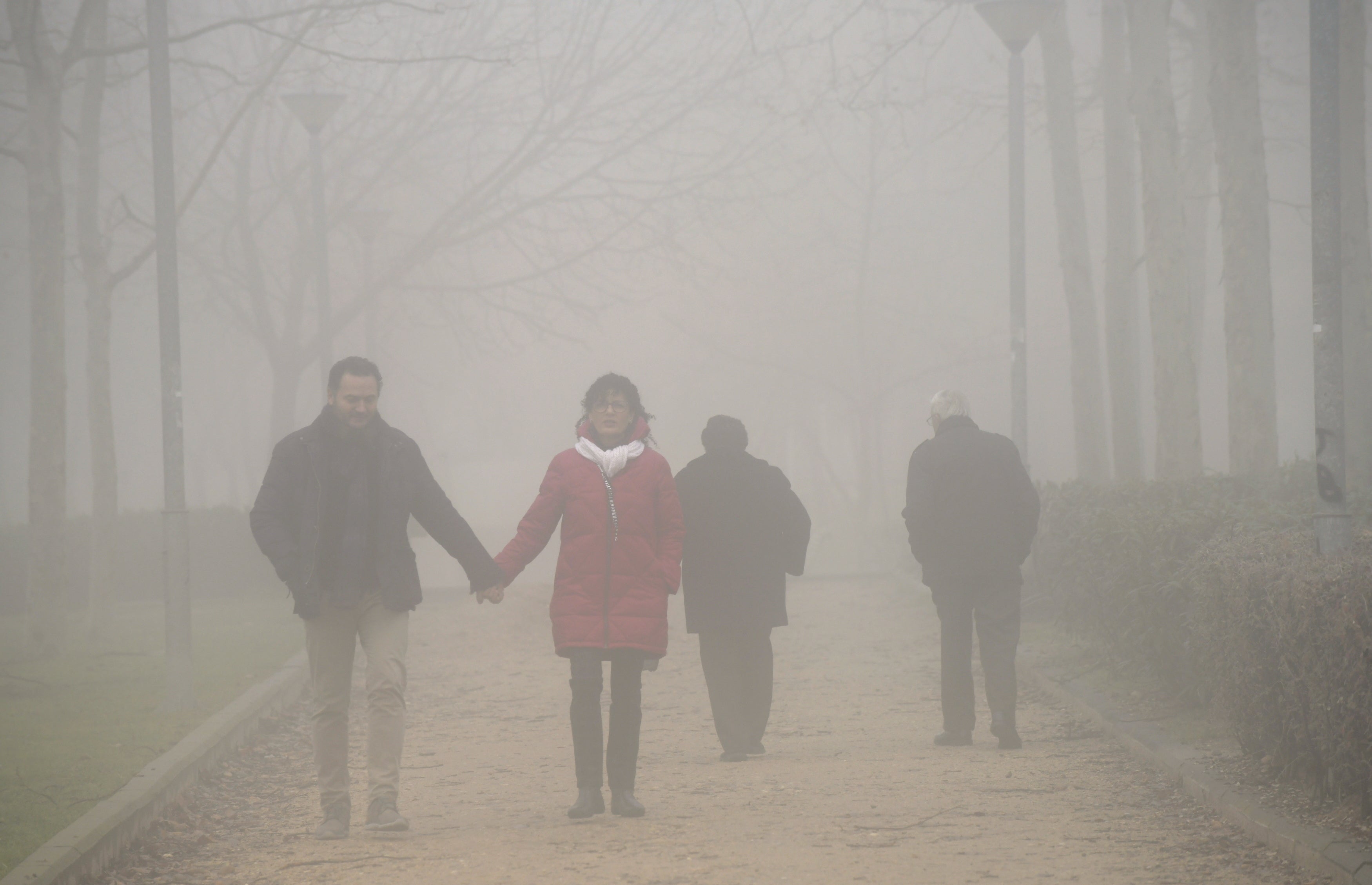 Una intensa niebla cubre toda la ciudad de Valladolid, que participa de la alerta amarilla que afecta a toda la provincia y permanecerá activa hasta las 13 horas de este lunes 30 de diciembre.