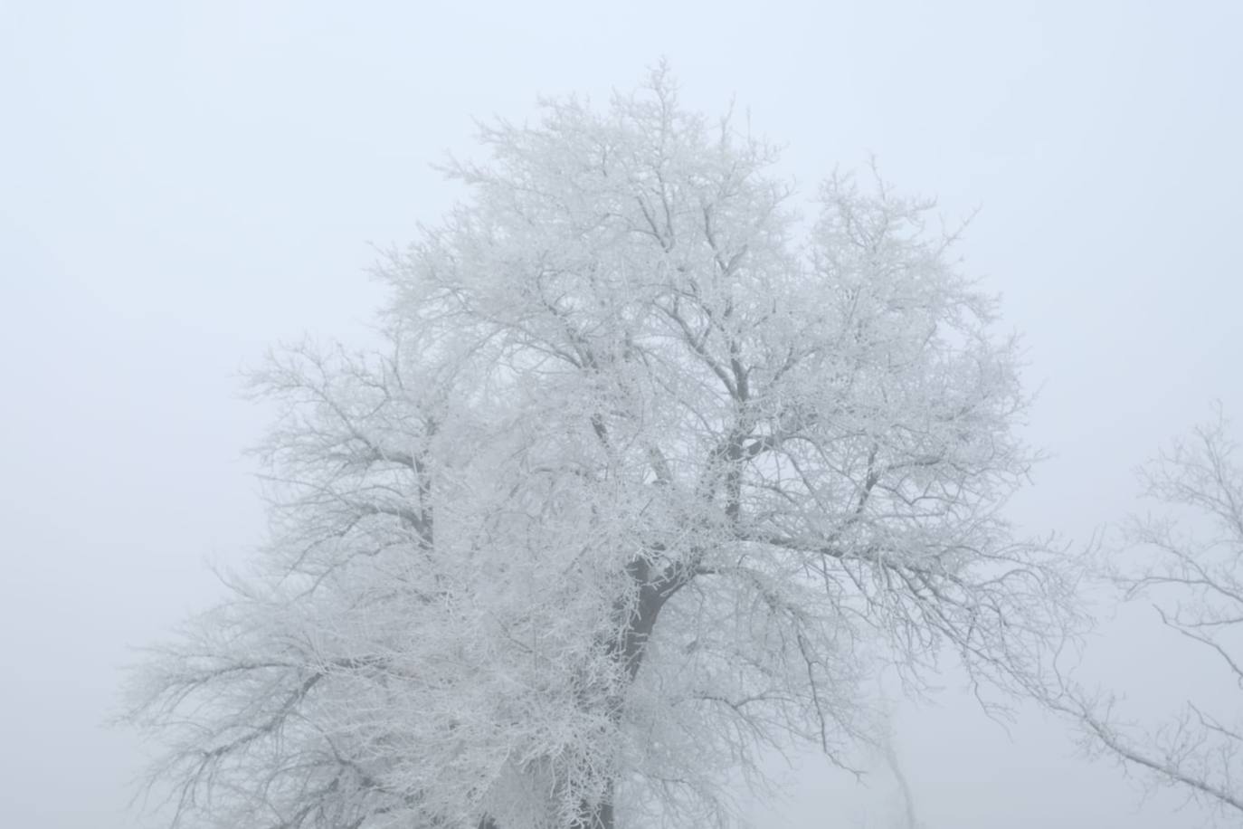 Valladolid amanece con nieba y hielo debido a las bajas temperaturas. 