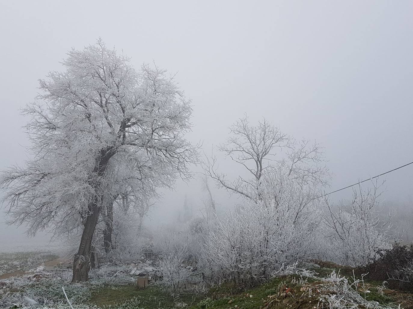 Valladolid amanece con nieba y hielo debido a las bajas temperaturas. 