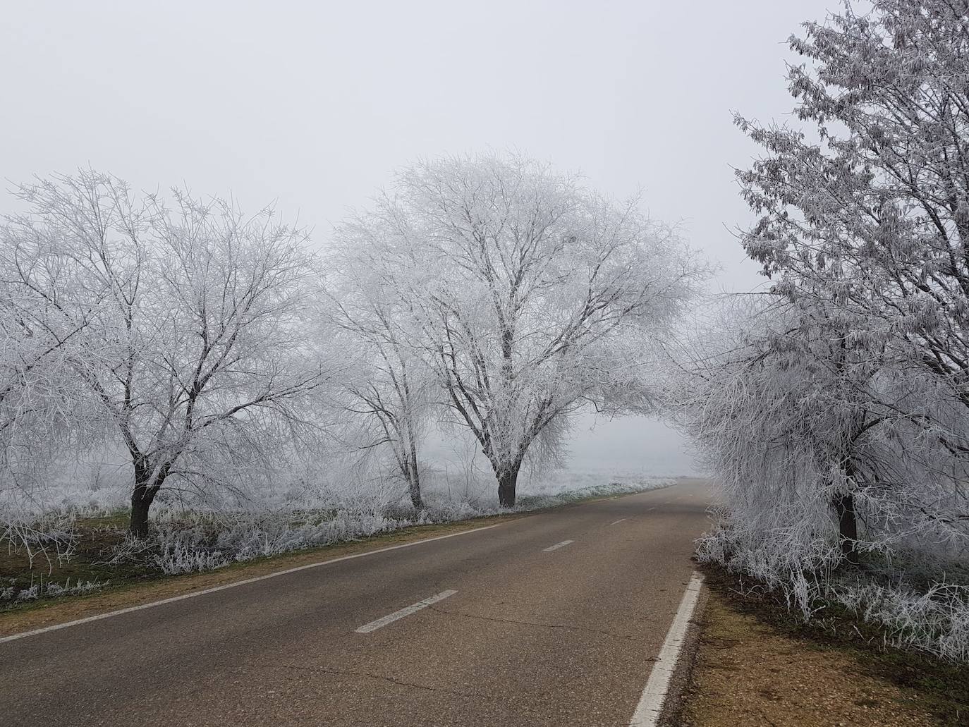 Valladolid amanece con nieba y hielo debido a las bajas temperaturas. 