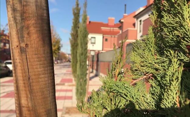 Adivina de qué calle de Valladolid se trata.