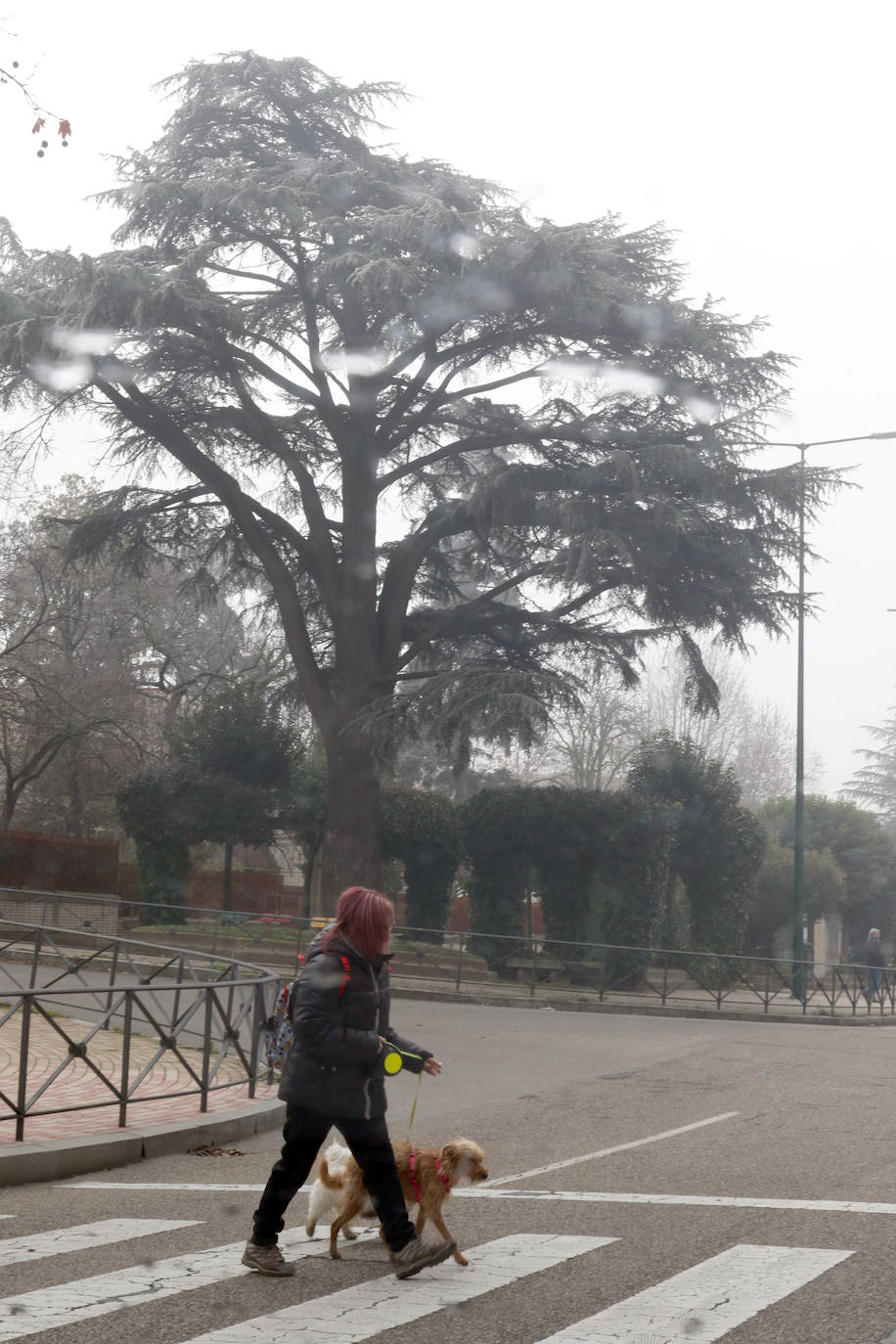 La provincia entera seguirá hoy y mañana en alerta amarilla por nieblas intensas