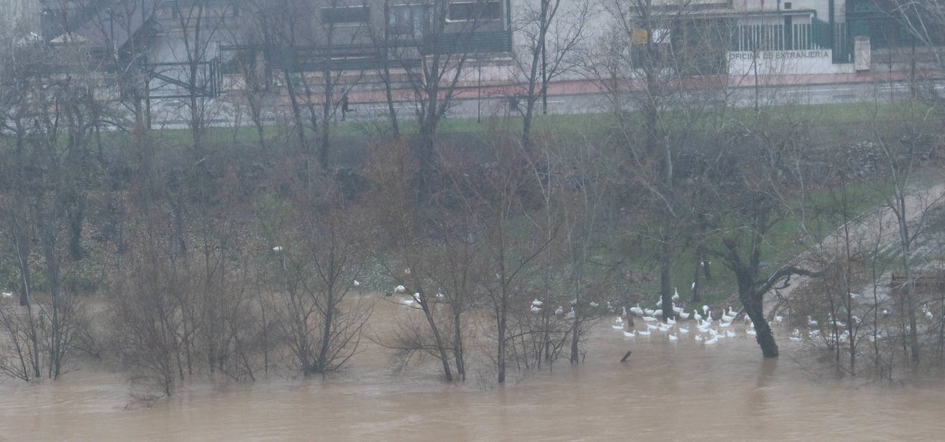 La provincia entera seguirá hoy y mañana en alerta amarilla por nieblas intensas