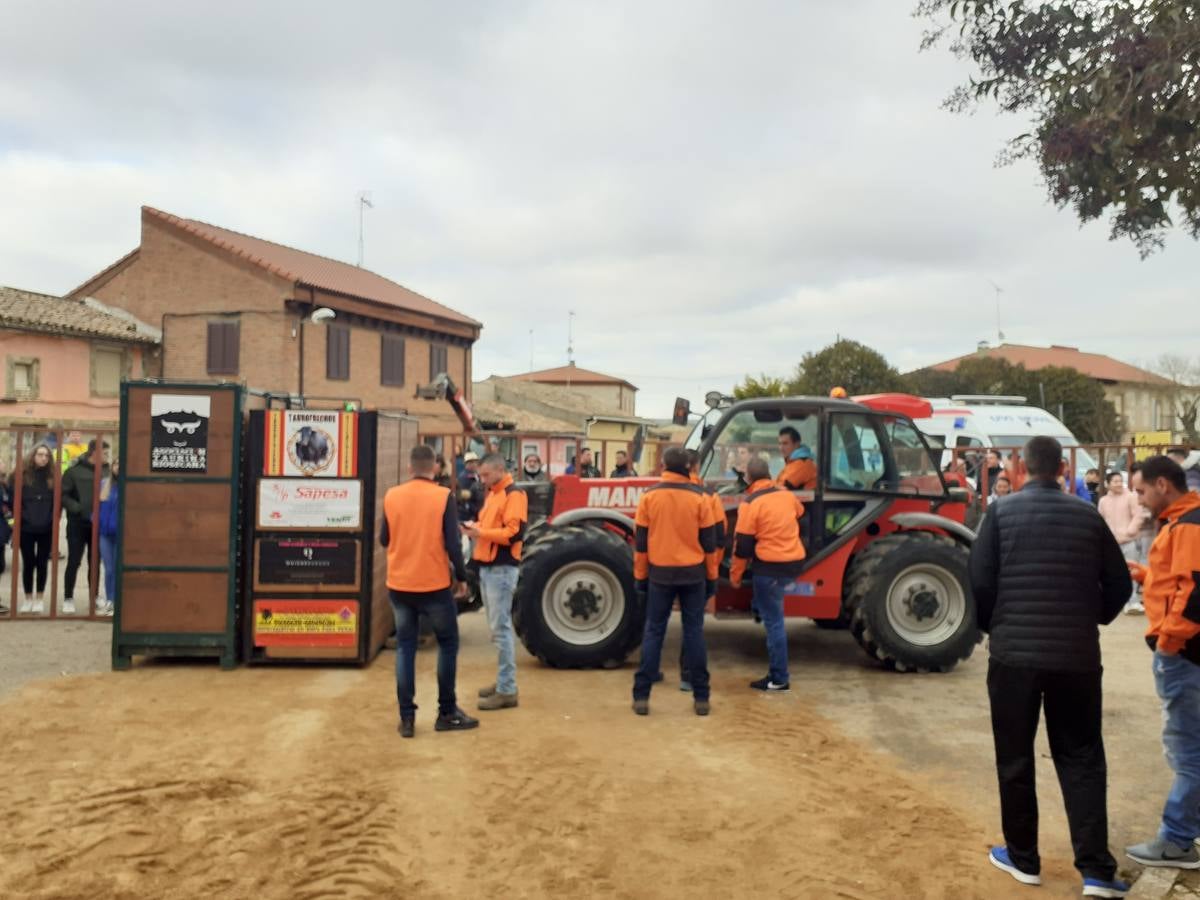 Fotos: Las imágenes del encierro de Villafrechós