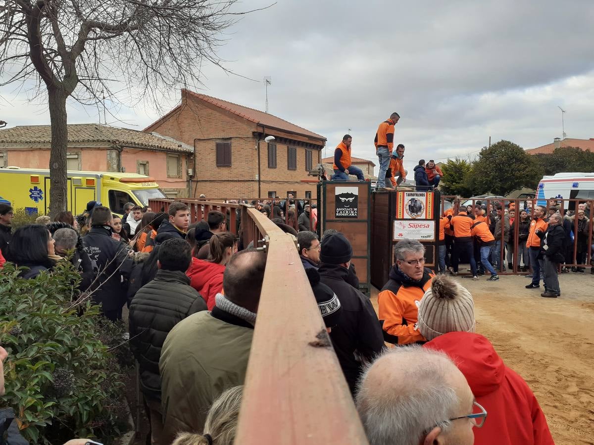 Fotos: Las imágenes del encierro de Villafrechós