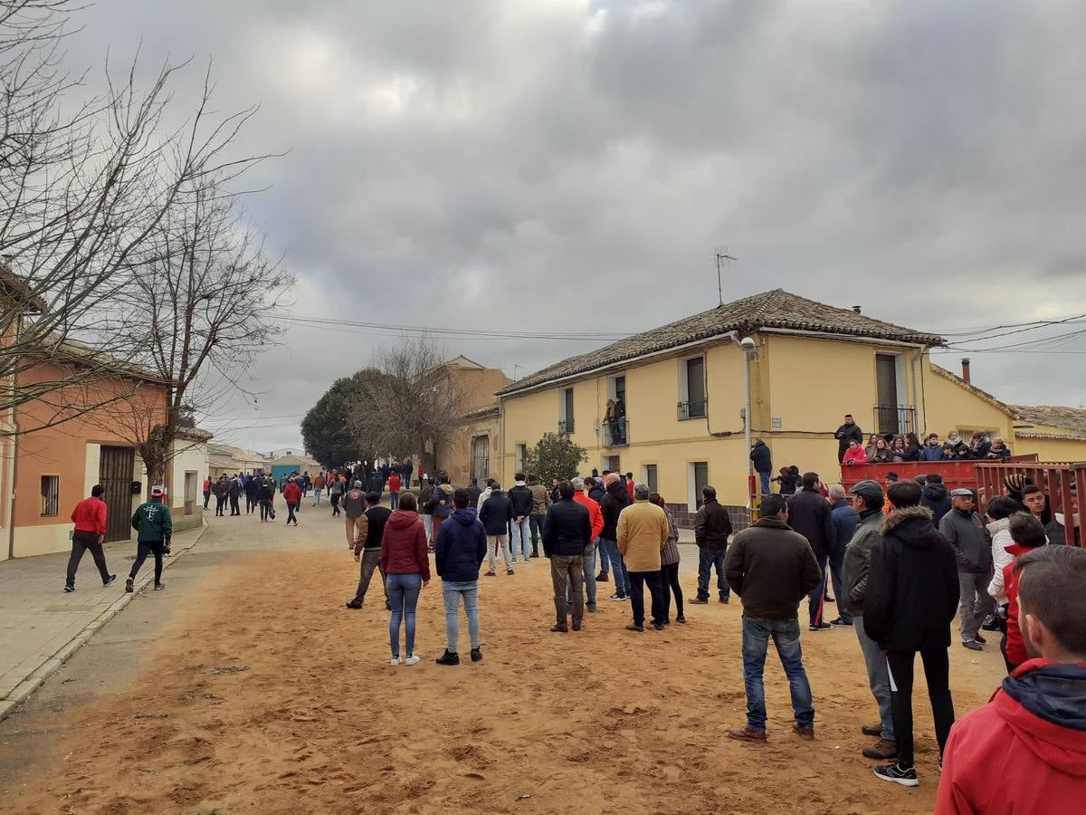 Fotos: Las imágenes del encierro de Villafrechós