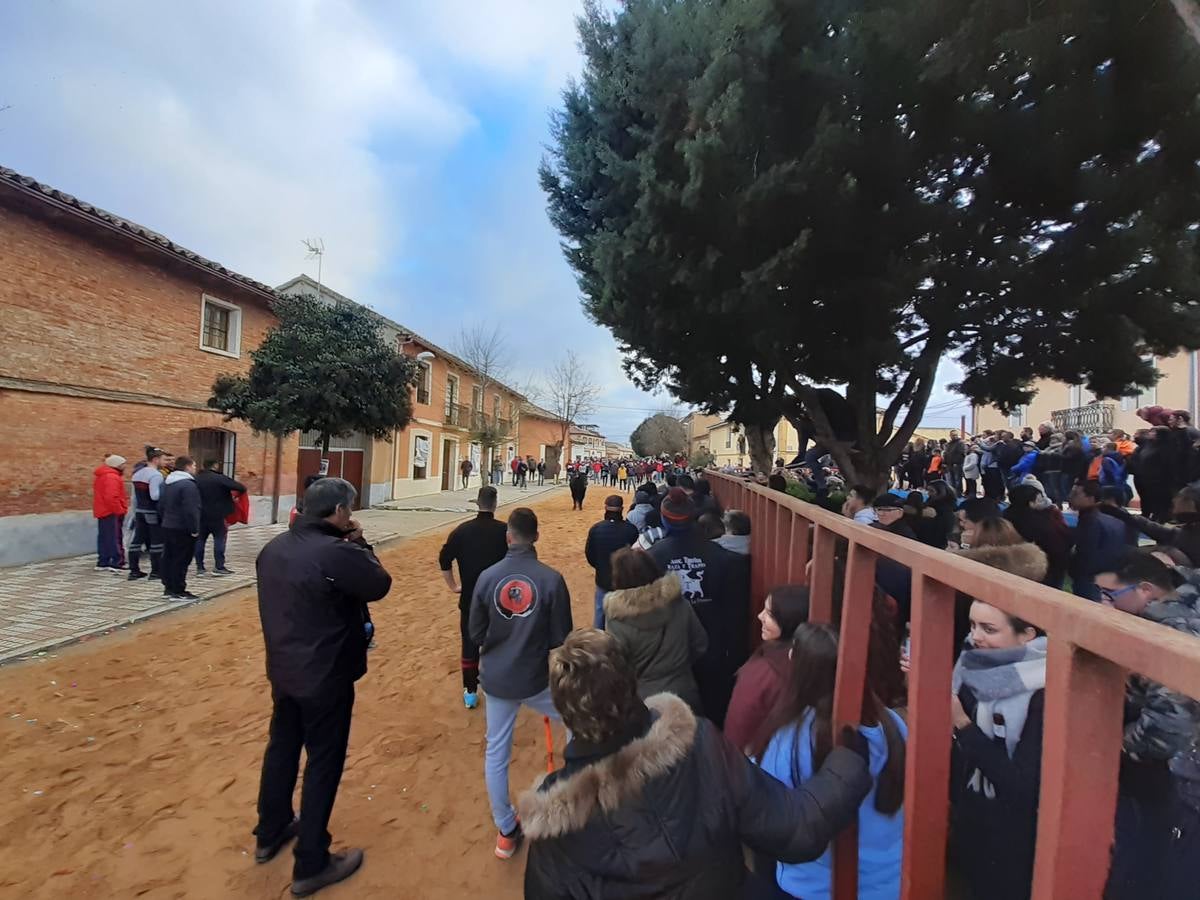 Fotos: Las imágenes del encierro de Villafrechós