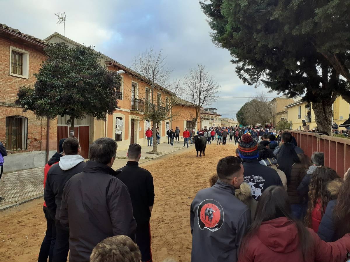 Fotos: Las imágenes del encierro de Villafrechós