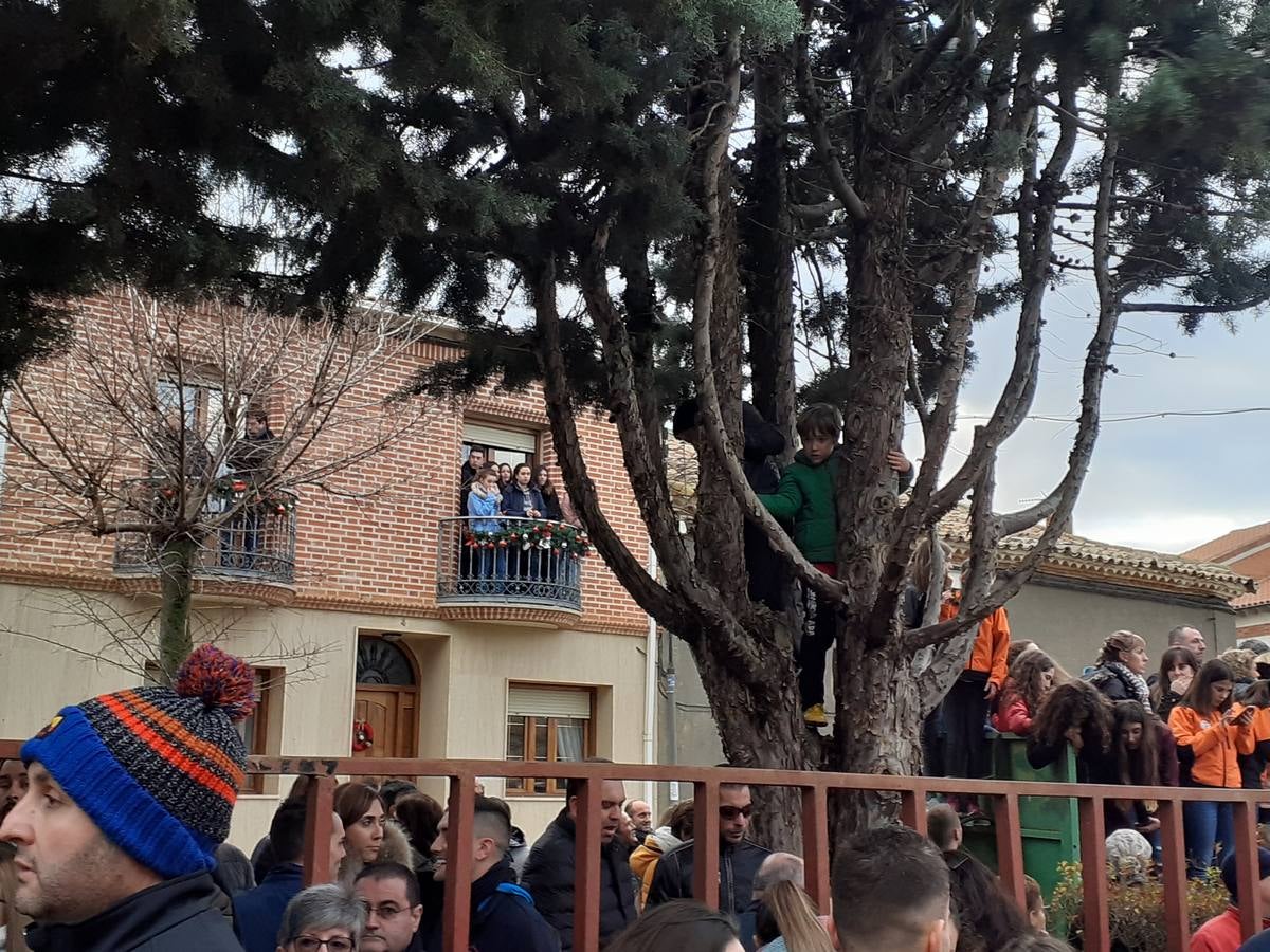 Fotos: Las imágenes del encierro de Villafrechós