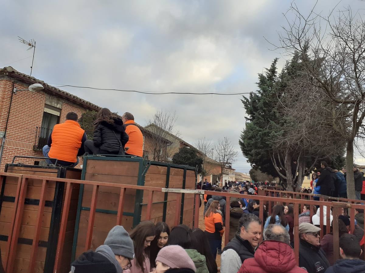 Fotos: Las imágenes del encierro de Villafrechós