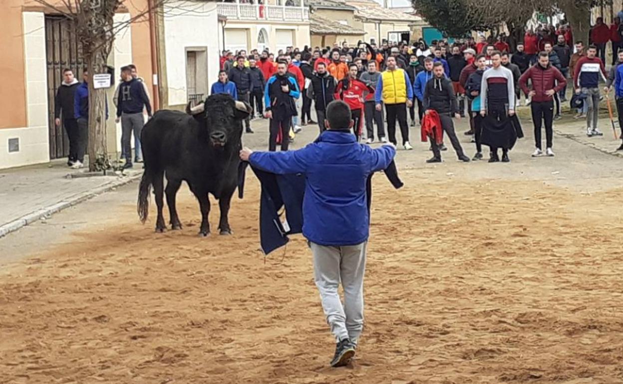 Un joven cita con una chaqueta al Toro del Cotillón. 