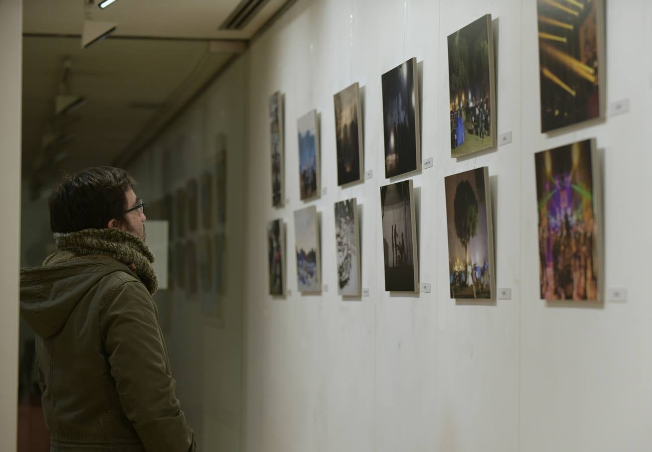 Exposición fotográfica 'Pingüinos', que sse puede visitar en la sala de exposiciones de la Oficina de Turismo del Paseo de Recoletos de Valladolid