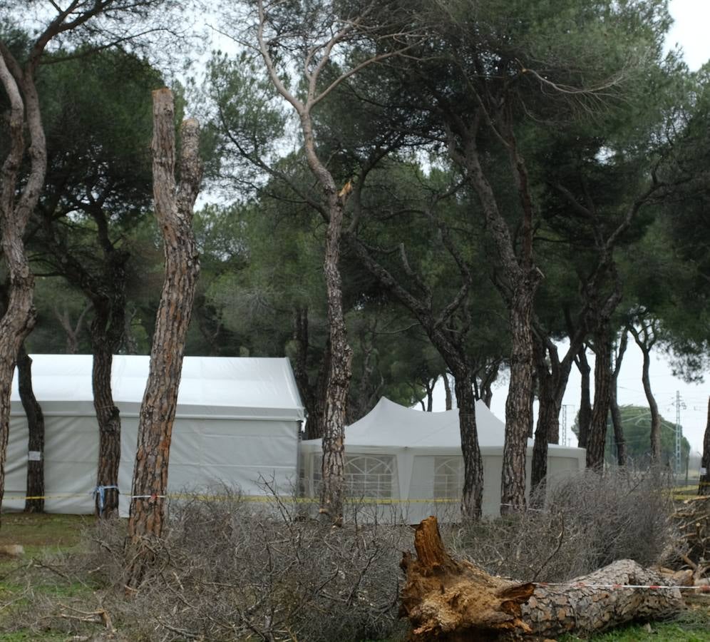 Miles de moteros que volverán a concentrarse en las instalaciones de la antigua Hípica militar de Valladolid