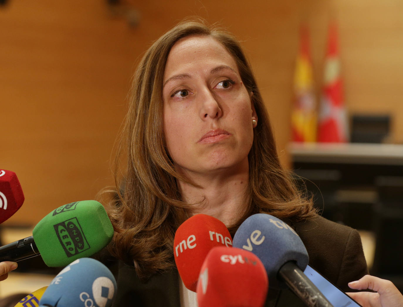 Las Cortes constituyeron este miércoles la comisión de investigación sobre el análisis de las ayudas recibidas por Castilla y León en el marco de los planes estratégicos del carbón, la segunda que preside Ciudadanos, con la diputada por Ávila, Inmaculada Gómez, en el marco del acuerdo de investidura con el PP.