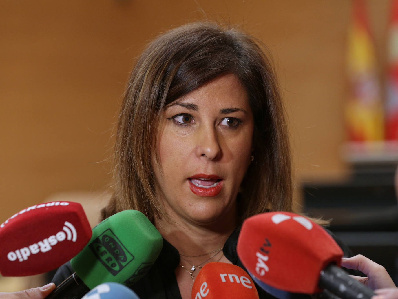 Las Cortes constituyeron este miércoles la comisión de investigación sobre el análisis de las ayudas recibidas por Castilla y León en el marco de los planes estratégicos del carbón, la segunda que preside Ciudadanos, con la diputada por Ávila, Inmaculada Gómez, en el marco del acuerdo de investidura con el PP.