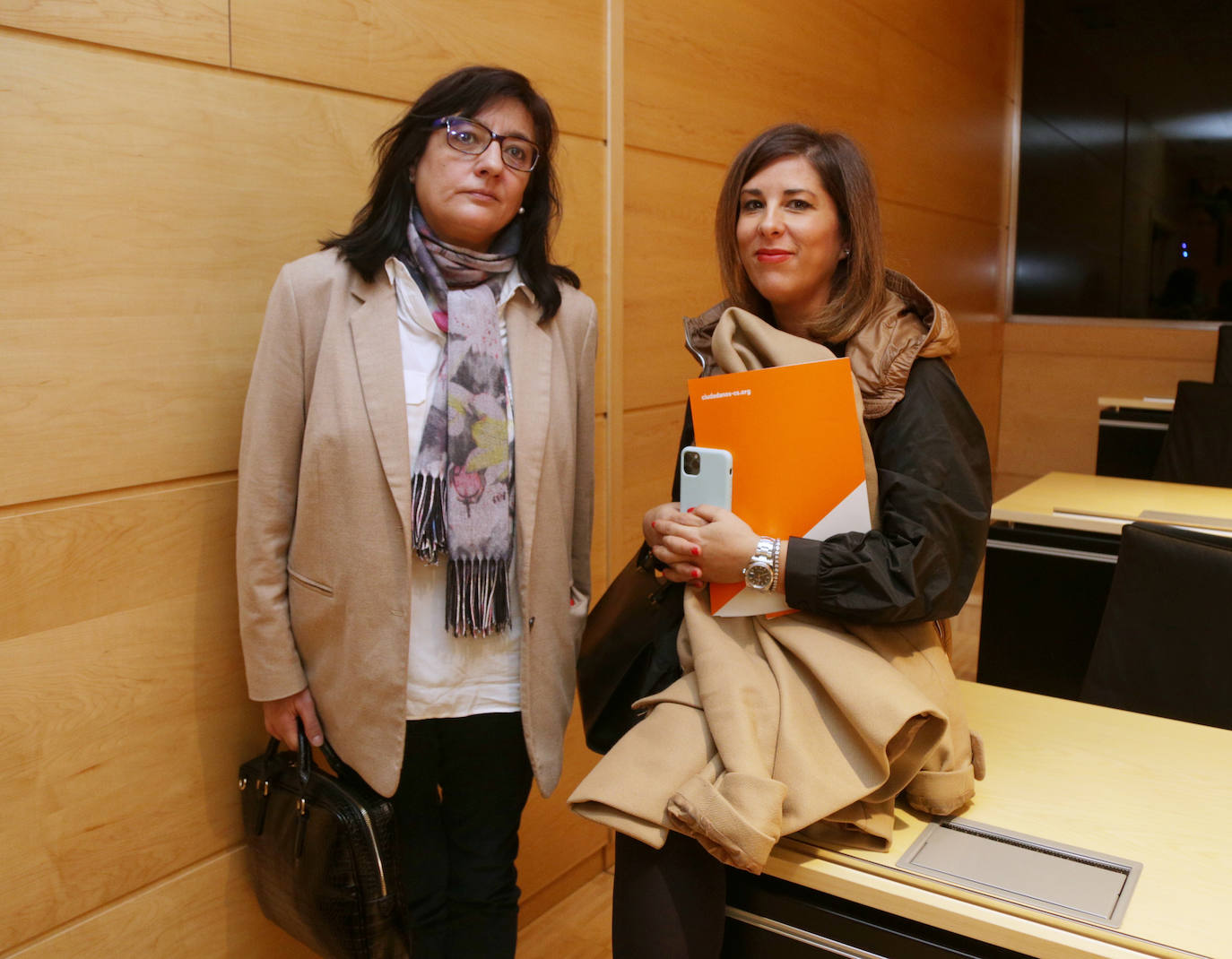 Las Cortes constituyeron este miércoles la comisión de investigación sobre el análisis de las ayudas recibidas por Castilla y León en el marco de los planes estratégicos del carbón, la segunda que preside Ciudadanos, con la diputada por Ávila, Inmaculada Gómez, en el marco del acuerdo de investidura con el PP.