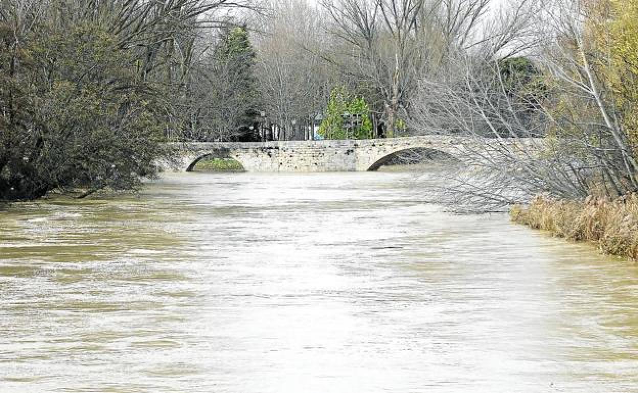 Solo 18 años desde 1959 fueron menos lluviosos que 2019, con 416,6 litros en Palencia