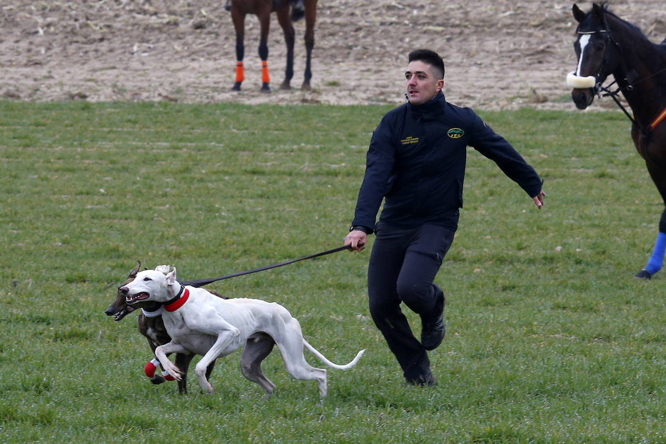 Miles de aficionados han esperado a que levantara la niebla para asistir a la primera jornada del Campeonato Nacional de Galgos. 