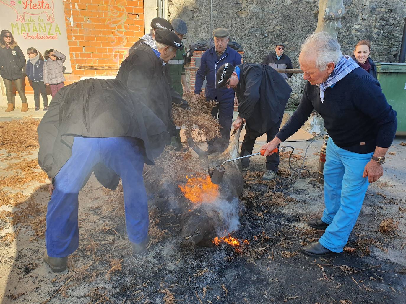Fotos: Linares de Riofrío disfruta de su matanza tradicional