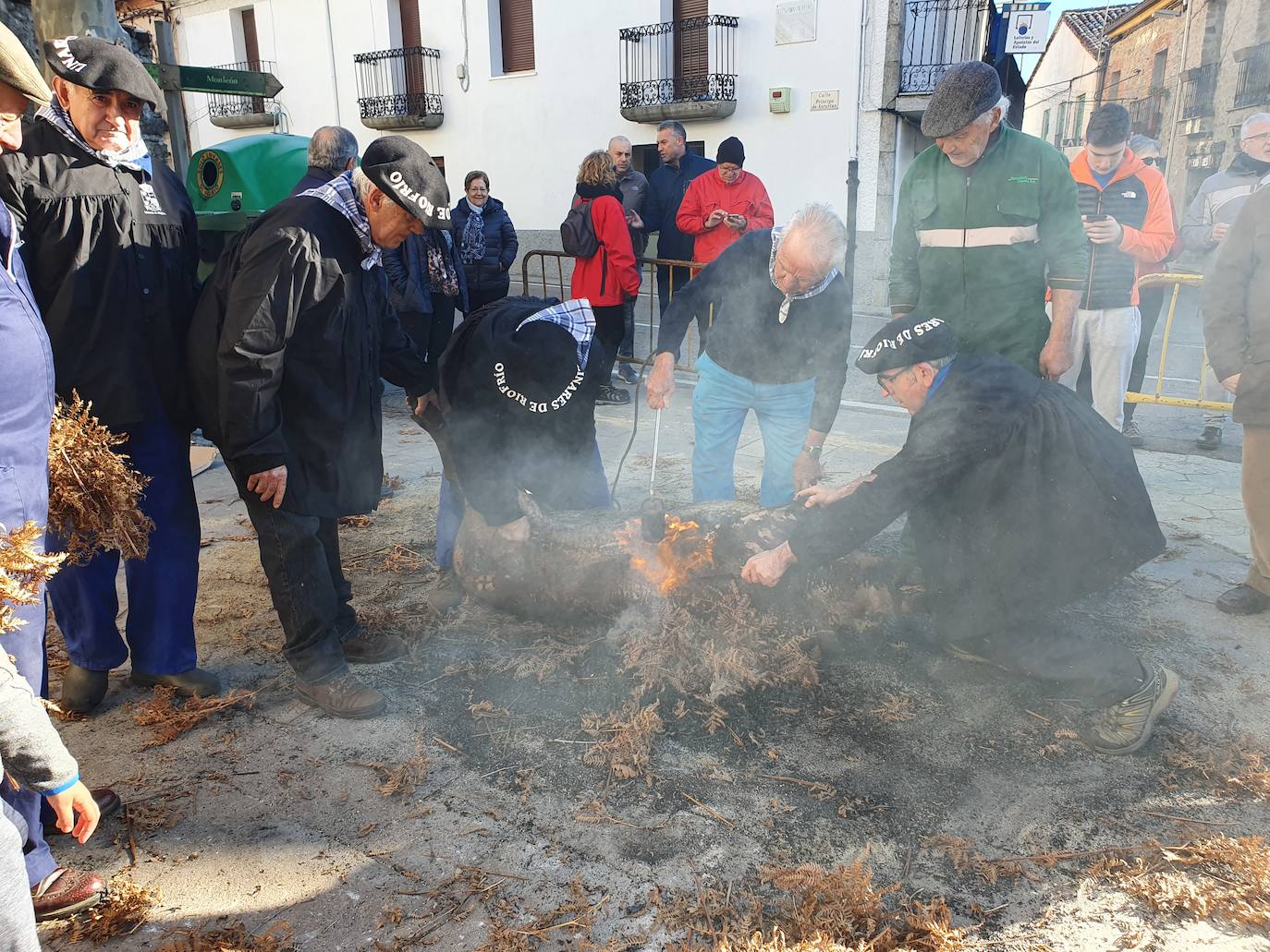 Fotos: Linares de Riofrío disfruta de su matanza tradicional