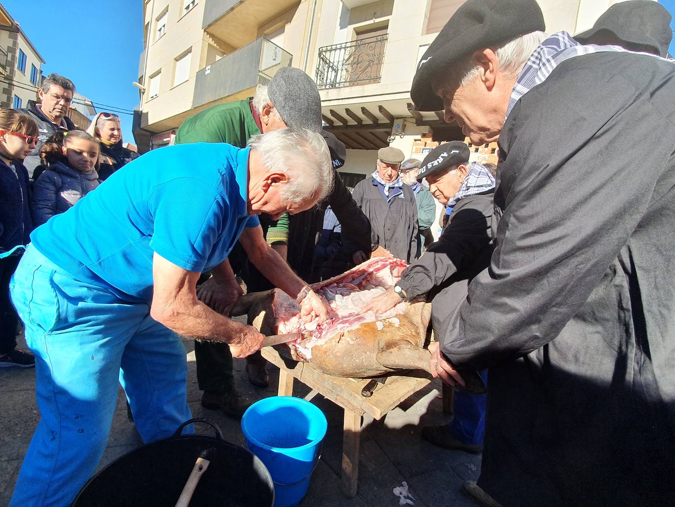 Fotos: Linares de Riofrío disfruta de su matanza tradicional