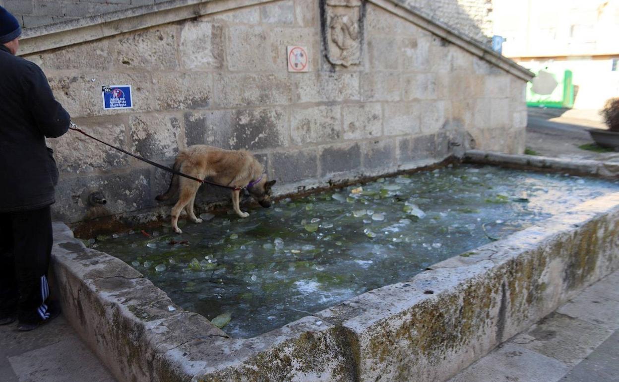 Fuente helada en la localidad de Cuéllar. 