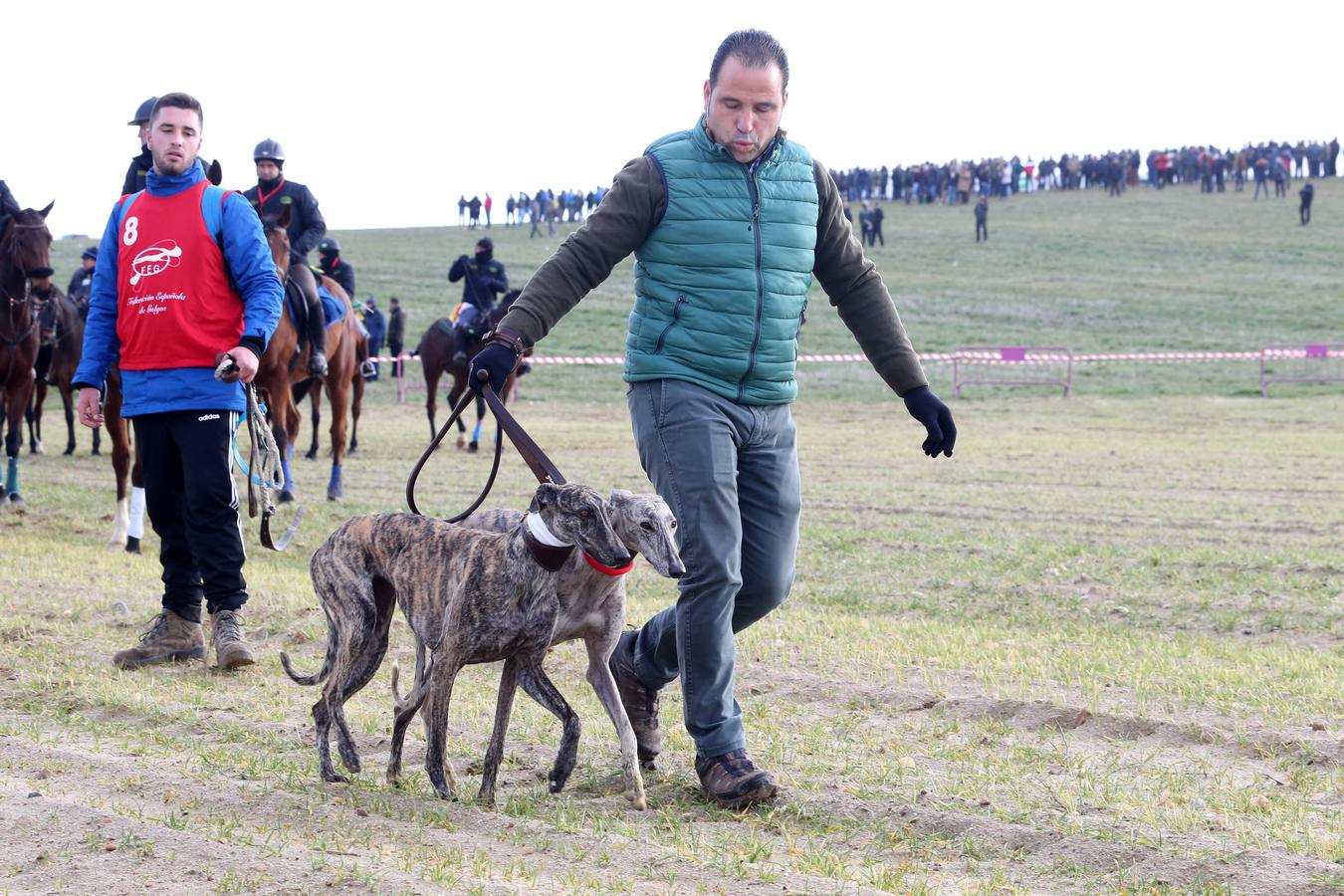 Los perros castellanos y leoneses demuestran su superioridad y cuatro representantes de los cinco que tenía la comunidad se meten en la siguiente fase 