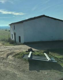 Imagen secundaria 2 - Estado actual de la carretera VA-610 que une las localidades de Castronuño y Pollos. 