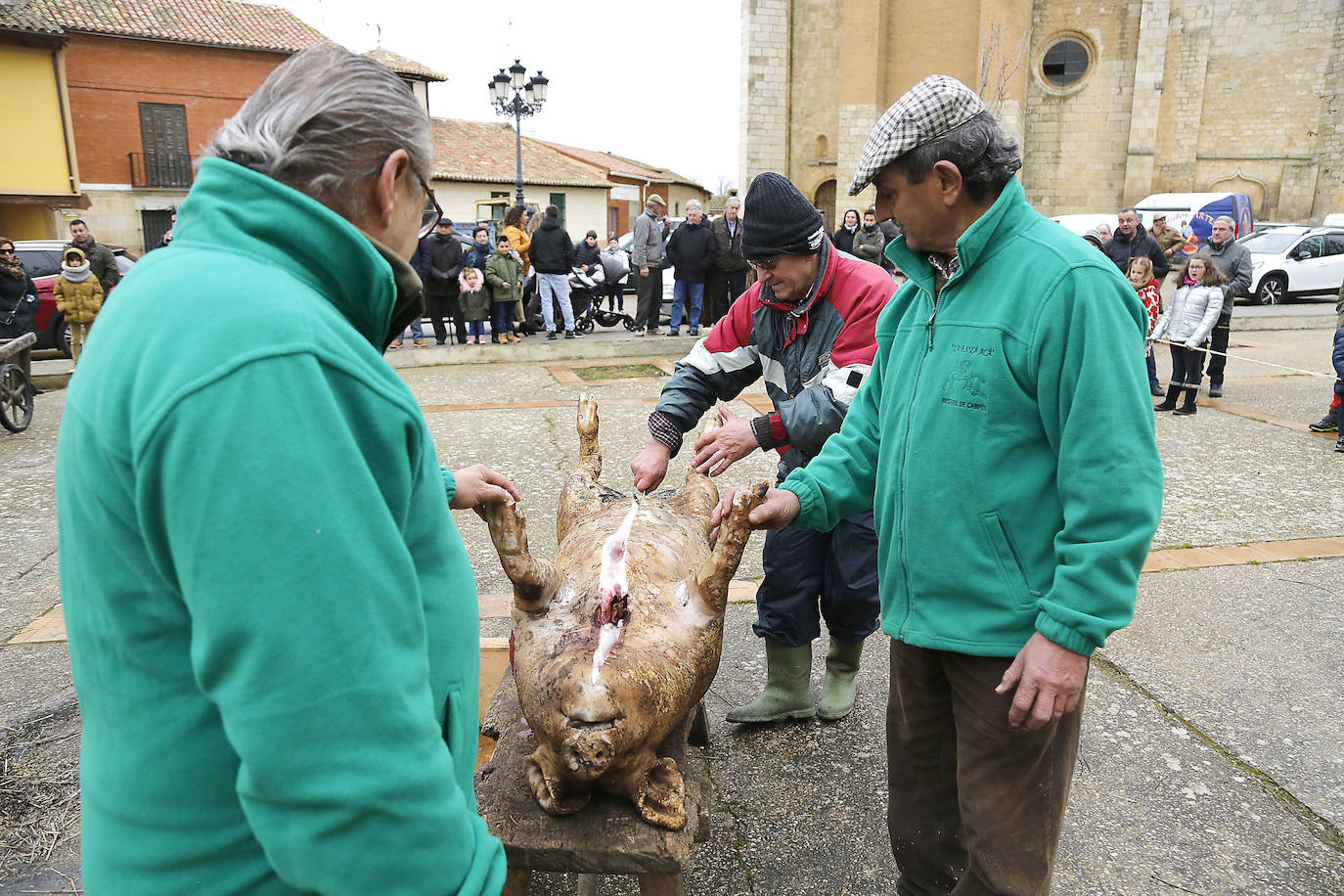 La matanza y reparto de jijas y morcilla en Becerril.