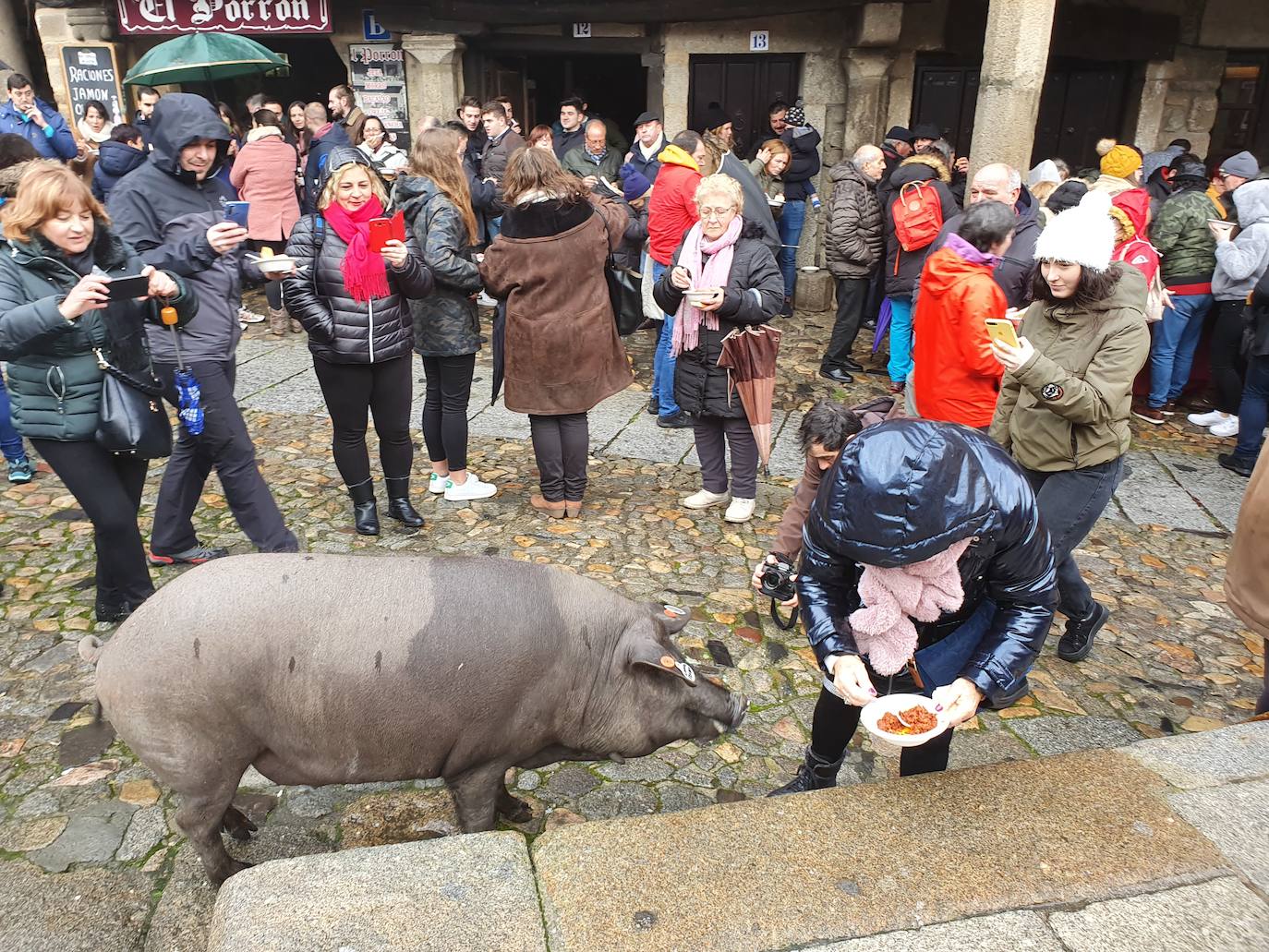 Fotos: La rifa del marrano de San Antón en La Alberca de Salamanca