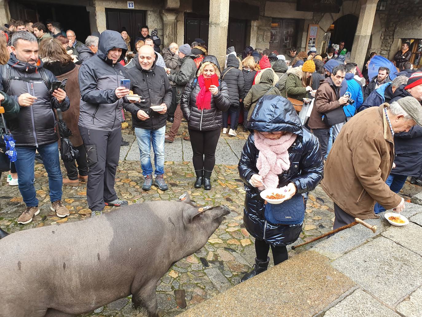 Fotos: La rifa del marrano de San Antón en La Alberca de Salamanca