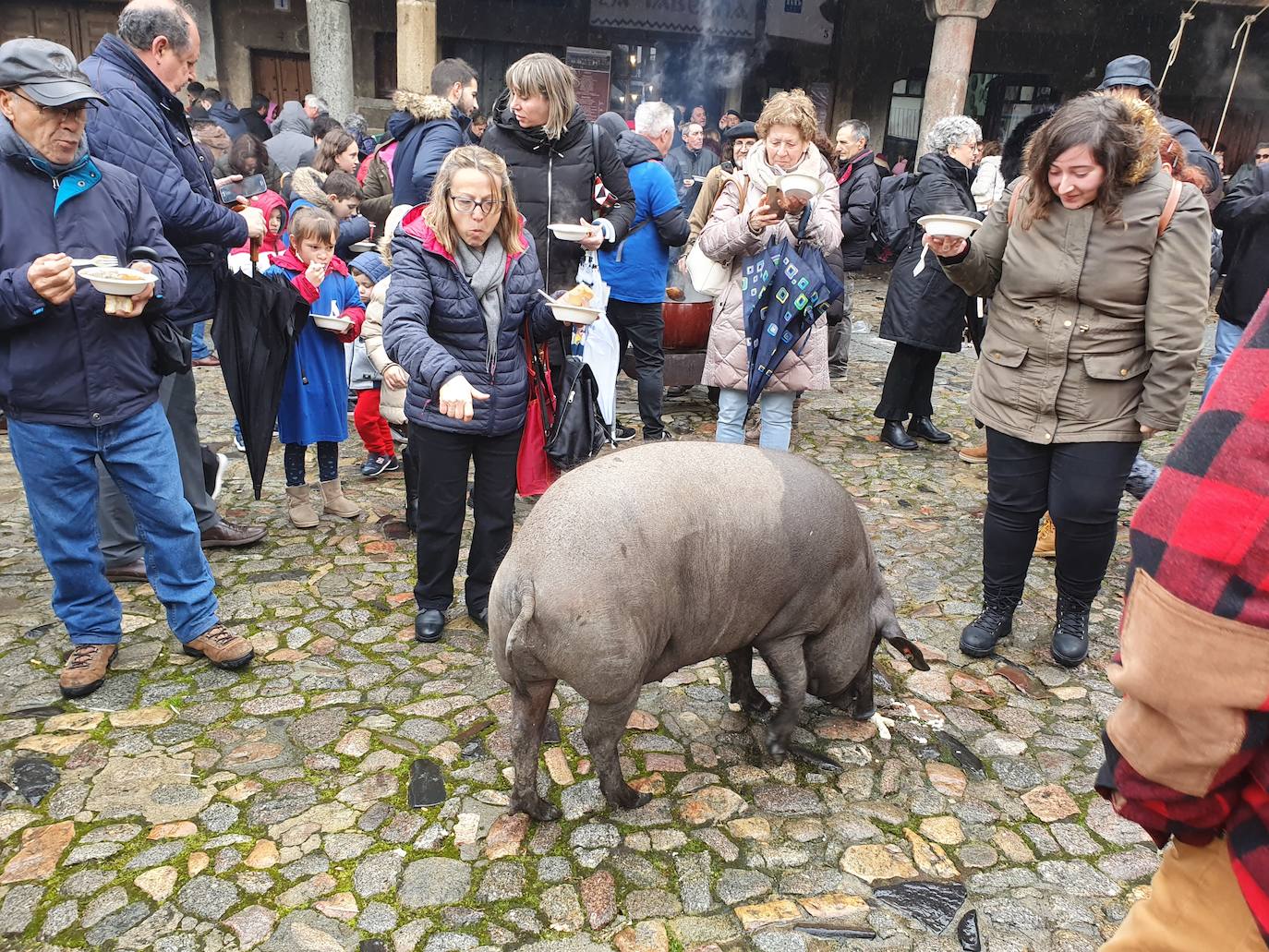 Fotos: La rifa del marrano de San Antón en La Alberca de Salamanca