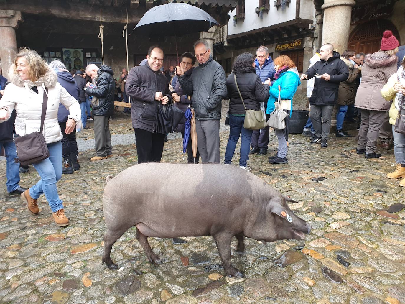 Fotos: La rifa del marrano de San Antón en La Alberca de Salamanca