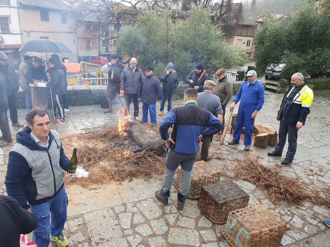 Fotos: las matanzas típicas en Villanueva del Conde y Las Casas del Conde