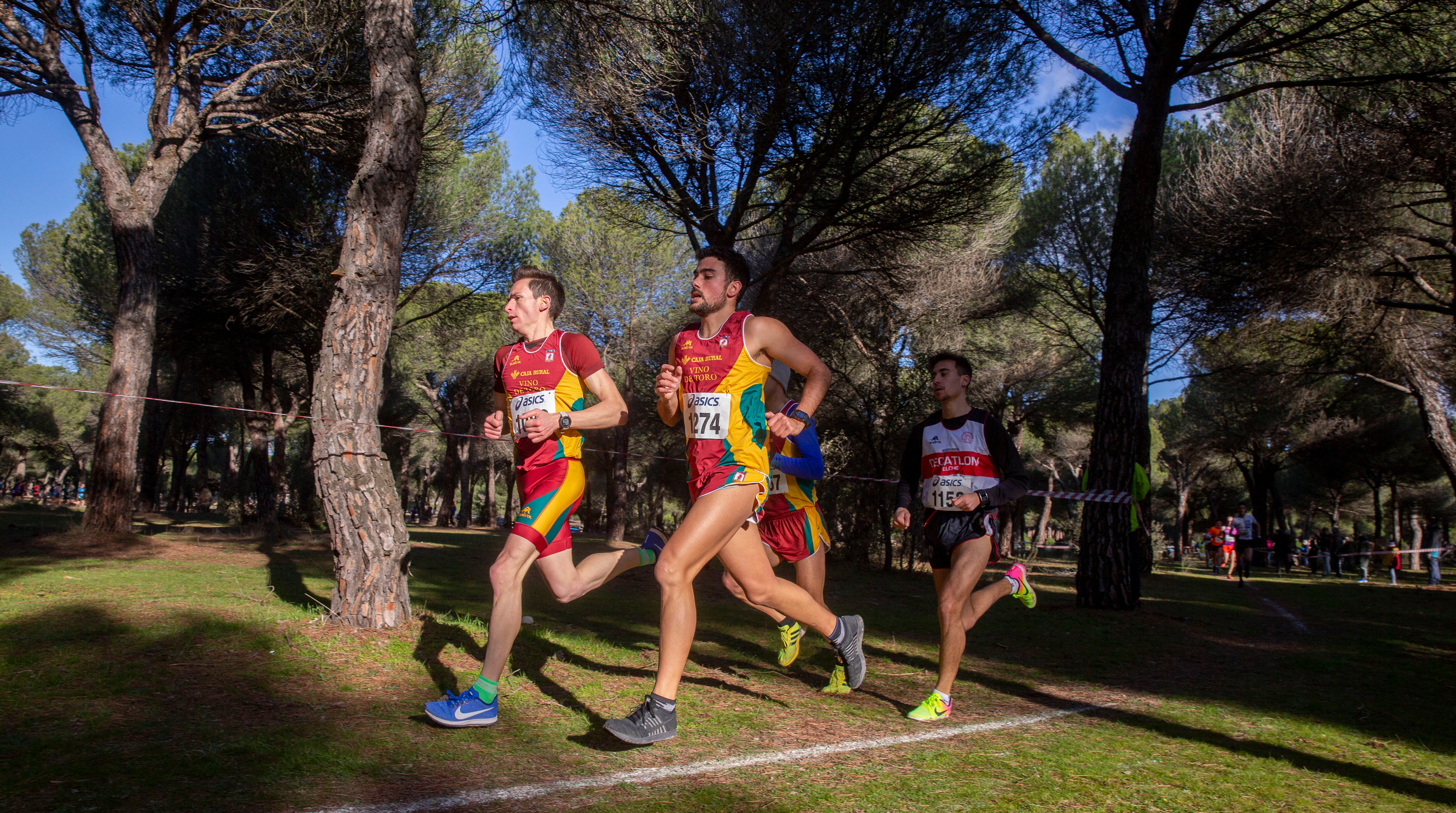 Fotos: Las imágenes del cross de San Antón