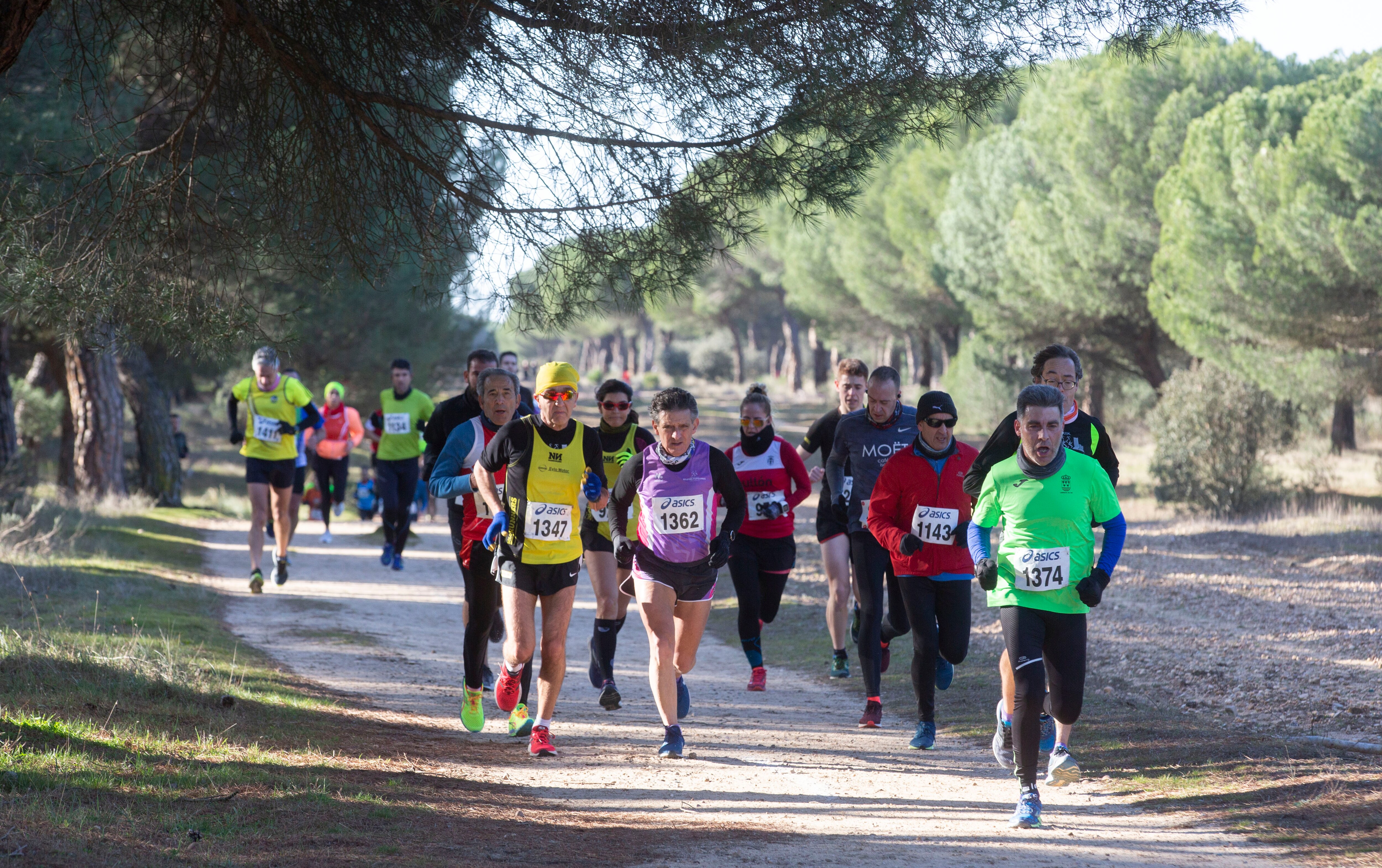 Fotos: Las imágenes del cross de San Antón