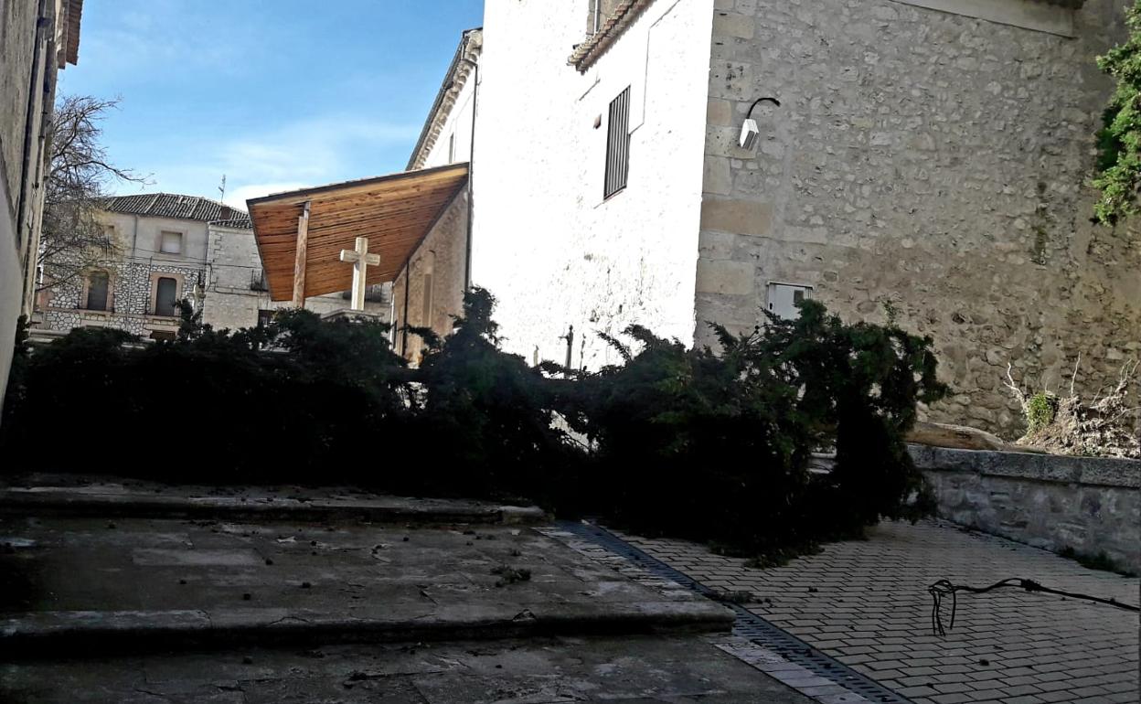 El ciprés corta la subida que comunica la Plaza Mayor de Olombrada con la iglesia.