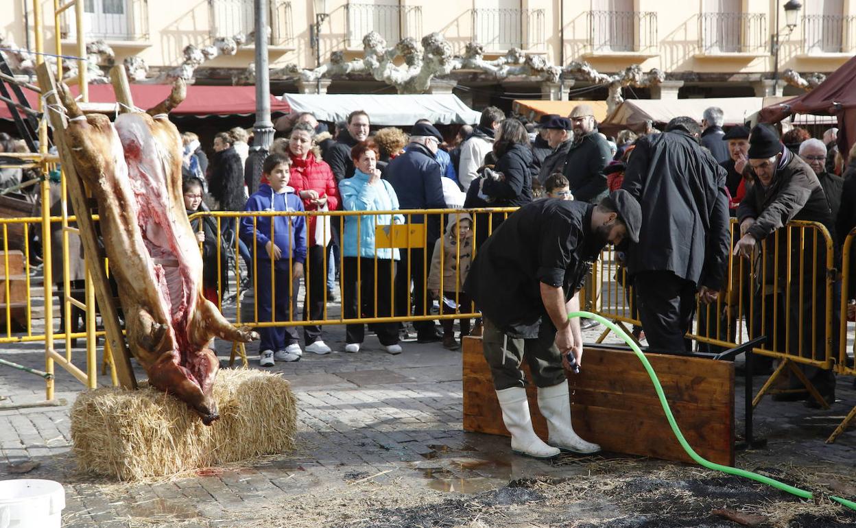 La Junta obliga al análisis de los cerdos que se sacrifican en matanzas caseras