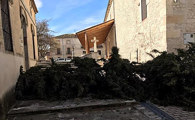 El viento derriba un árbol junto a la iglesia de Olombrada minutos después de que comenzara la misa